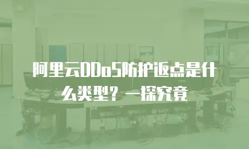 阿里云DDoS防护返点是什么类型？一探究竟
