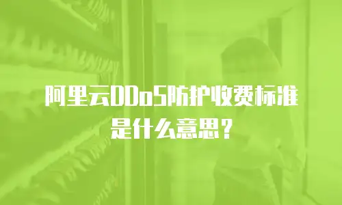 阿里云DDoS防护收费标准是什么意思？