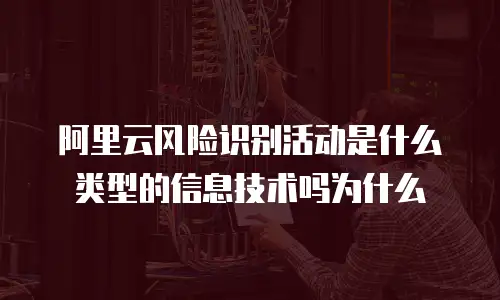 阿里云风险识别活动是什么类型的信息技术吗为什么