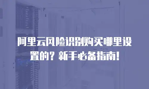 阿里云风险识别购买哪里设置的？新手必备指南！