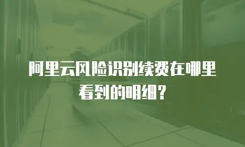 阿里云风险识别续费在哪里看到的明细？