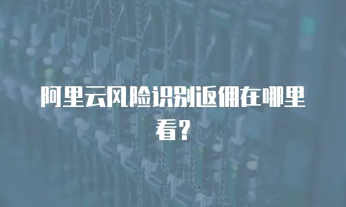 阿里云风险识别返佣在哪里看？