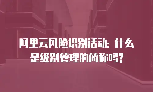 阿里云风险识别活动: 什么是级别管理的简称吗?