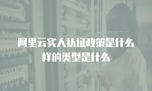阿里云实人认证政策是什么样的类型是什么
