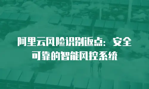 阿里云风险识别返点：安全可靠的智能风控系统