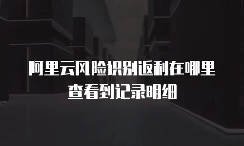 阿里云风险识别返利在哪里查看到记录明细