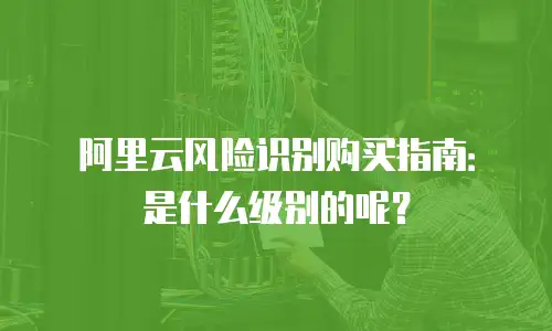 阿里云风险识别购买指南：是什么级别的呢？