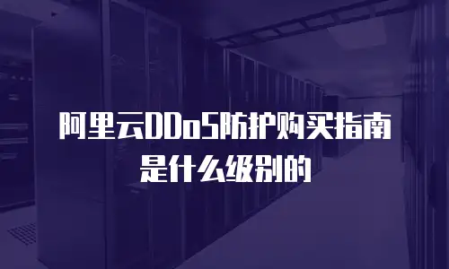 阿里云DDoS防护购买指南是什么级别的