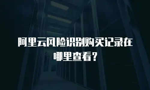 阿里云风险识别购买记录在哪里查看？