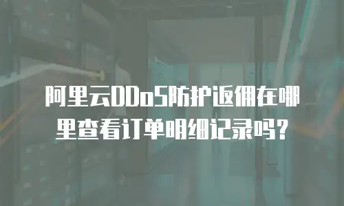 阿里云DDoS防护返佣在哪里查看订单明细记录吗？