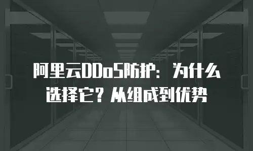 阿里云DDoS防护：为什么选择它？从组成到优势