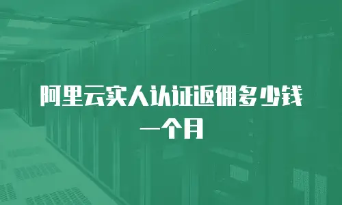 阿里云实人认证返佣多少钱一个月