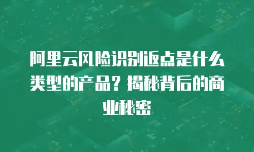 阿里云风险识别返点是什么类型的产品？揭秘背后的商业秘密
