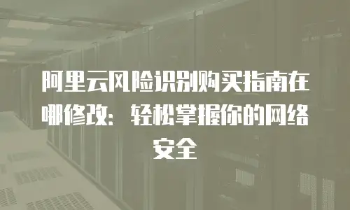 阿里云风险识别购买指南在哪修改：轻松掌握你的网络安全