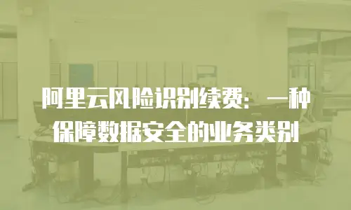 阿里云风险识别续费：一种保障数据安全的业务类别