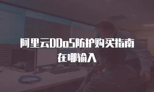 阿里云DDoS防护购买指南在哪输入