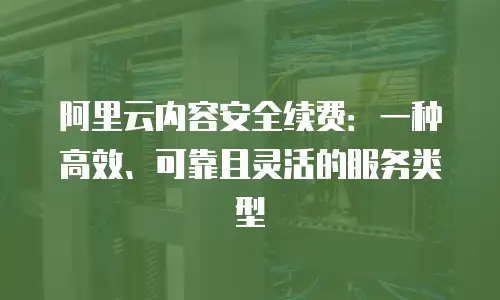 阿里云内容安全续费：一种高效、可靠且灵活的服务类型
