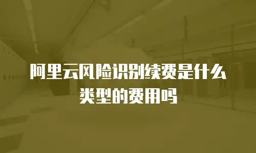 阿里云风险识别续费是什么类型的费用吗
