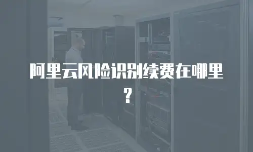阿里云风险识别续费在哪里？