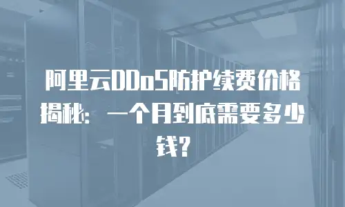 阿里云DDoS防护续费价格揭秘：一个月到底需要多少钱？