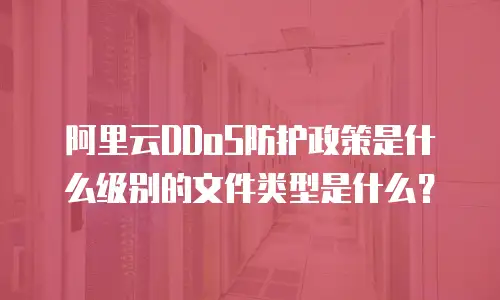 阿里云DDoS防护政策是什么级别的文件类型是什么？