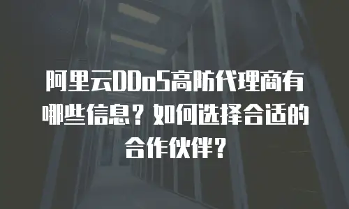 阿里云DDoS高防代理商有哪些信息？如何选择合适的合作伙伴？