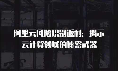 阿里云风险识别返利：揭示云计算领域的秘密武器