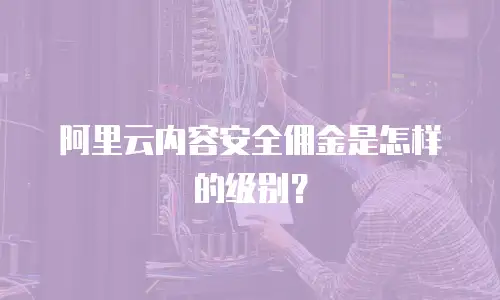 阿里云内容安全佣金是怎样的级别？