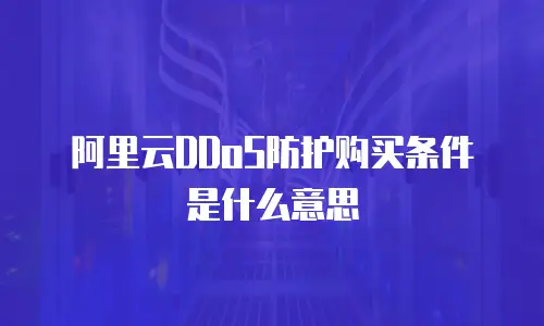 阿里云DDoS防护购买条件是什么意思