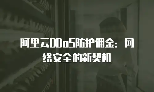 阿里云DDoS防护佣金：网络安全的新契机