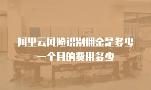 阿里云风险识别佣金是多少一个月的费用多少