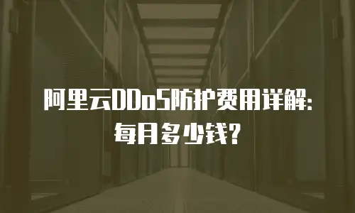 阿里云DDoS防护费用详解：每月多少钱？