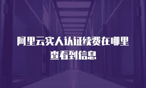 阿里云实人认证续费在哪里查看到信息