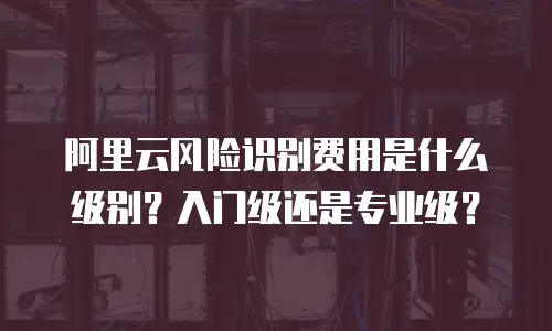阿里云风险识别费用是什么级别？入门级还是专业级？