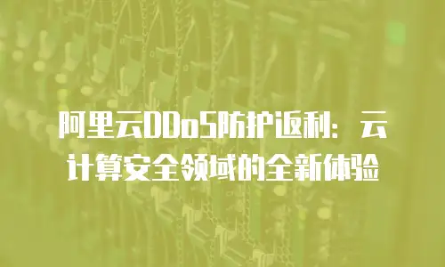 阿里云DDoS防护返利：云计算安全领域的全新体验