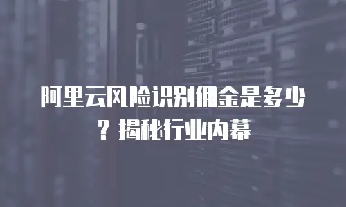 阿里云风险识别佣金是多少？揭秘行业内幕