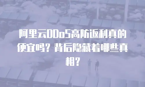 阿里云DDoS高防返利真的便宜吗？背后隐藏着哪些真相？