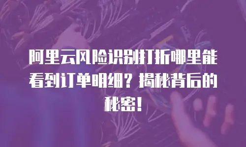阿里云风险识别打折哪里能看到订单明细？揭秘背后的秘密！