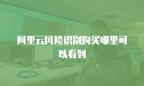 阿里云风险识别购买哪里可以看到