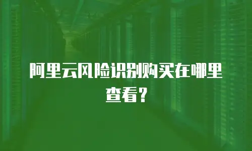 阿里云风险识别购买在哪里查看？