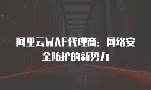 阿里云WAF代理商：网络安全防护的新势力
