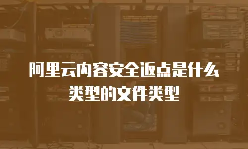 阿里云内容安全返点是什么类型的文件类型