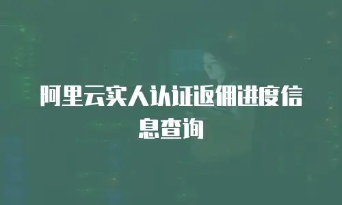 阿里云实人认证返佣进度信息查询