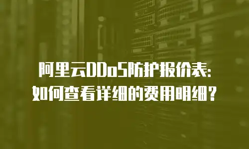 阿里云DDoS防护报价表：如何查看详细的费用明细？
