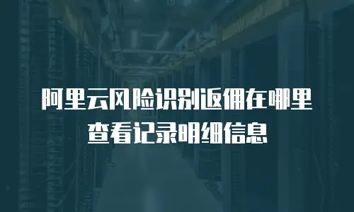 阿里云风险识别返佣在哪里查看记录明细信息