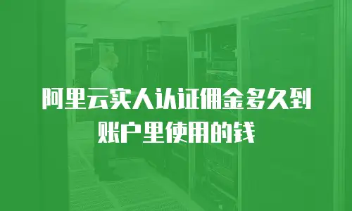 阿里云实人认证佣金多久到账户里使用的钱