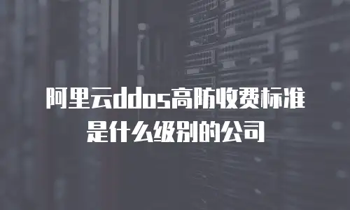 阿里云ddos高防收费标准是什么级别的公司