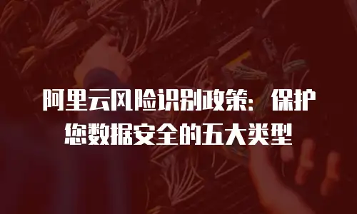 阿里云风险识别政策：保护您数据安全的五大类型