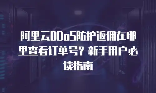阿里云DDoS防护返佣在哪里查看订单号？新手用户必读指南