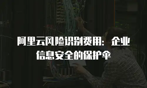 阿里云风险识别费用：企业信息安全的保护伞